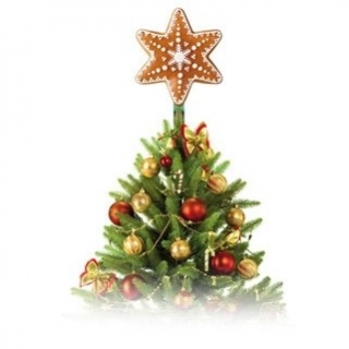 Medenjaki zvezda za božično drevo - DELÍCIA - 