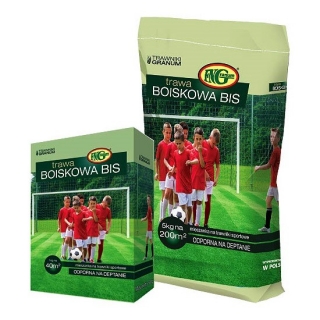 "Boiskowa BIS" (Sports ground) lawn seed mix - 15 kg - for 600 m²