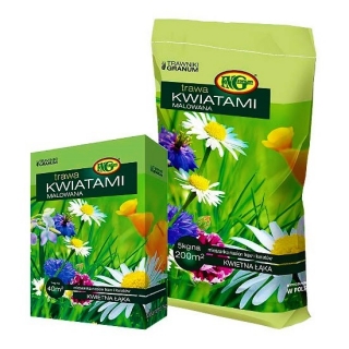 "Flower painted" (Kwiatami Malowana) lawn seed selection - 15 kg - for 600 m²