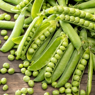 Six-week pea - NANO-GRO - increase harvest volume by 30%