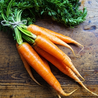 胡萝卜“阿姆斯特丹”-NANO-GRO-收获量增加30％ - 