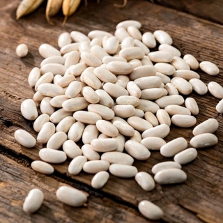Bean Pearl (Perelka) - pour les graines sèches - 