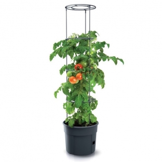 Tomatenanbautopf mit Pfählen - Tomatenanbauer - ø 29,5 cm - 