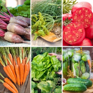 Grand ensemble - 6 plants de légumes, une collection de variétés éprouvées et fiables - 