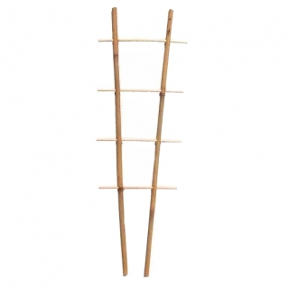Escalera de apoyo para plantas de bambú S2 - 75 cm - 