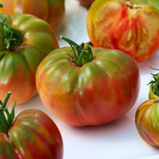 Pantano Romanesco BIO tomat - põllu- ja kasvuhoonekasvatuseks, ülikõrge saagikus - sertifitseeritud maheseemned - 