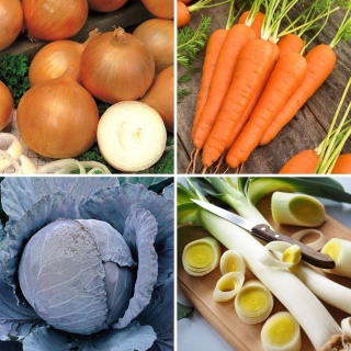 Storable vegetables - selection of 4 plant varieties