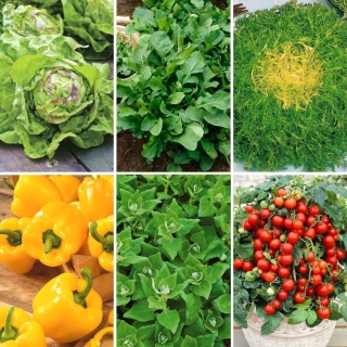 Grønnsaker til plantekasser - utvalg av frø av 6 plantearter - 