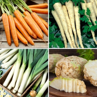 Légumes tardifs - graines de 4 variétés végétales - 