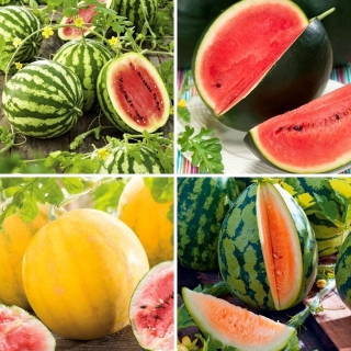Vandmelon - udvalg af fire varianter - 