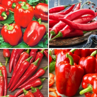 Peper en chili - zaden van vier variëteiten - 