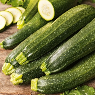 Courgette (zucchini) et graines de concombre - sélection de 4 variétés - 