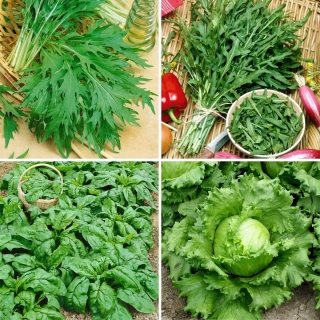 Semillas de hortalizas de ensalada - selección de 4 variedades - 