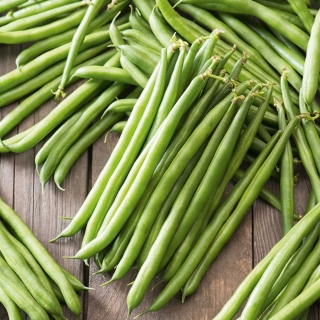 法国豆“法拉利” - 美味，抗病的品种 - Phaseolus vulgaris L. - 種子