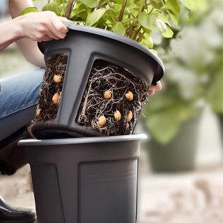 Kartupeļu audzēšanas pods ar ērtu bumbuļu noņemšanas funkcionalitāti - ø 30 cm - 
