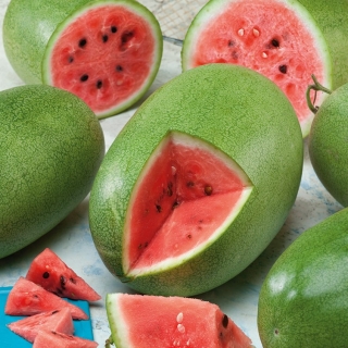 Charleston Grey vattenmelon - 