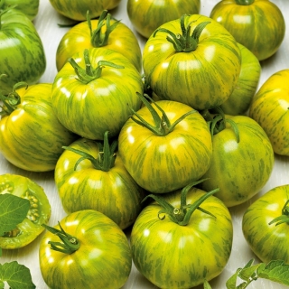 Tomat 'Smarald' - roheline, sebramustriline