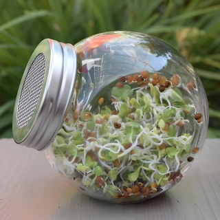 Jar sprouter - wadah penambah kecambah - 400 ml + HADIAH GRATIS - 