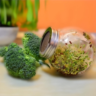 Jar sprouter - recipiente para crescimento de brotos - 400 ml + PRESENTE GRÁTIS - 
