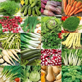 Okus narave - Zelenjava za poznavalce - Set 20 vrečk semena