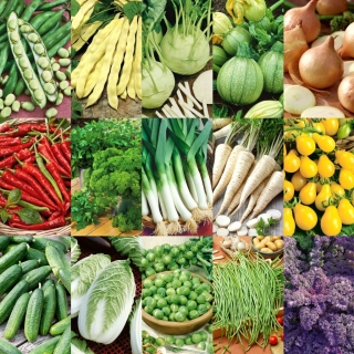 Daržovių atradimai: Geras startas - 15 sėklų paketėlių rinkinys