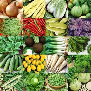 Zeleninové objavy: Pre skvelý začiatok - sada 20 balení semien