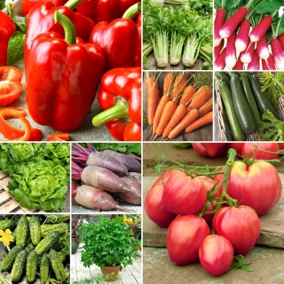 Grøntsagsstarter - Sæt med 10 grøntsagsfrøposer