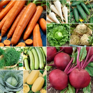 Nem start: Dine første grøntsager - 10 frøpakker
