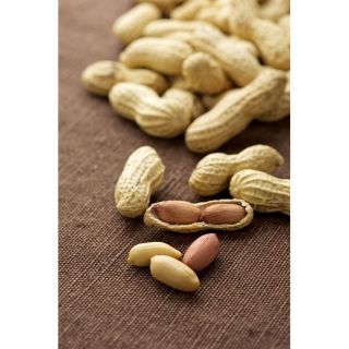 Peanut seeds - Arachis hypogea - 5 seeds