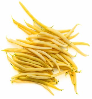 Жовта французька квасоля "Лауріна" - середньо-раннього сорту - Phaseolus vulgaris L. - насіння