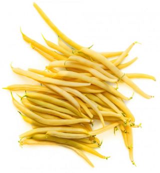녹색 콩 "바스타"- 노랑 품종 - Phaseolus vulgaris L. - 씨앗