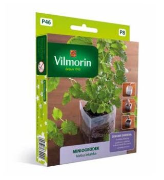 Mini Garden - Balsamı - iç tarımı için başlangıç seti - 600 tohum - Melissa officinalis - tohumlar
