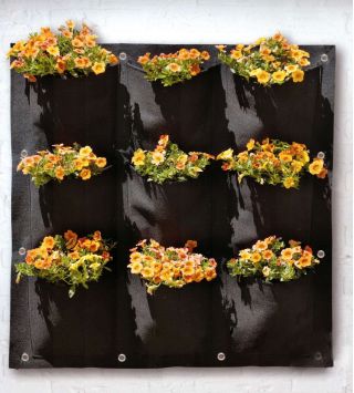 Viseči vrt - 9-komorni cvetlični žep - črn - 