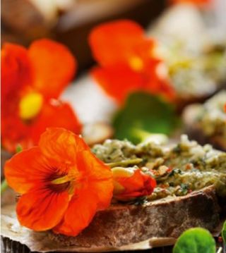 식용 꽃 - 정원 nasturtium 톰 엄지 손가락 - 색상 다양 한 믹스; 인디언 유채과 야채, 스님 유채과의 야채 - 씨앗