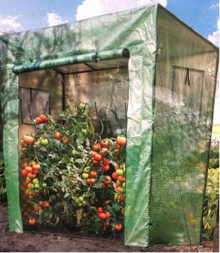 Tomat drivhus - 200 x 198 x 78 cm - 