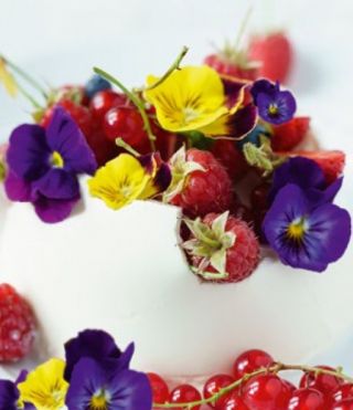 Flori comestibile - Pansy de gradina cu flori mari - mix de varietate de culori - semințe