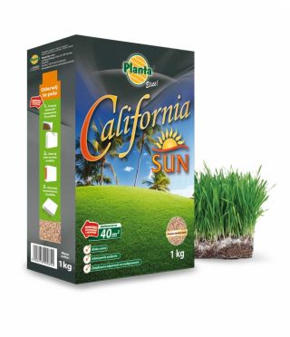 Καλιφόρνια επιλογή σπόρων γκαζόν Sun για ηλιόλουστες και ξηρές περιοχές - Planta - 1 κιλό - 