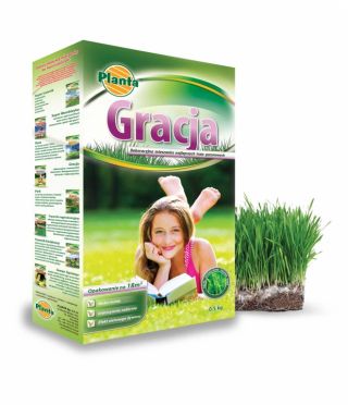 Gracja - kõrge dekoratiivse väärtusega muruseemnesegu - Planta - 0,5 kg - 