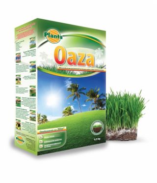 Oaza - gazonzaadmix voor droge en zonnige plaatsen - Planta - 0,5 kg - 