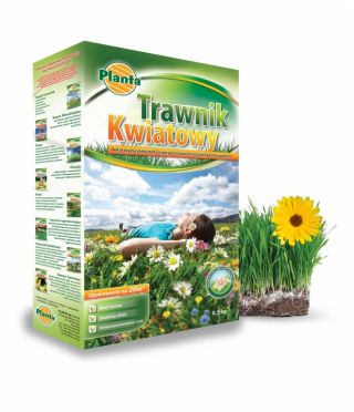 Flower Lawn - rumput rumput dan seleksi bunga - 0,5 kg -  - biji