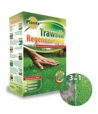 Verjüngter Rasen - Reparatur eines beschädigten oder verlassenen Rasens - Planta - 1 kg - 