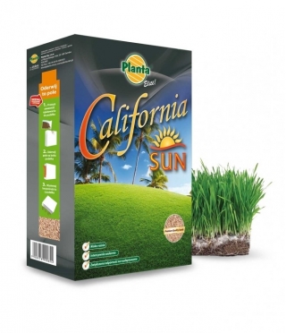 California Sun nurmikon siementen valinta aurinkoisille ja kuiville alueille - Planta - 5 kg - 200 m² - 