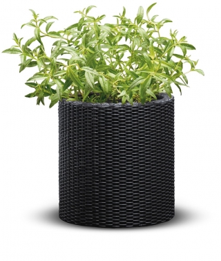 Stor rund planteplante - ø 43,7 cm - Sylinderplantasje - antracittgrå - 