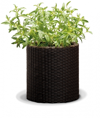 中型圆形盆栽植物-ø36厘米-圆筒花坛-棕色 - 