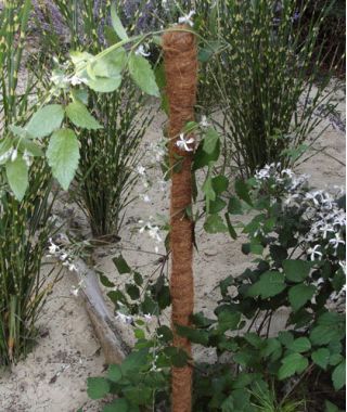 Kokoso augalų atrama - 15 mm / 40 cm - 