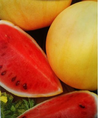 Watermelon mixed seeds - Citrullus lanatus - 25 seeds