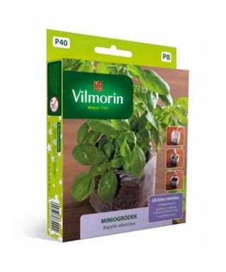 Mini garden - Basilikum - 650 frø - Ocimum basilicum