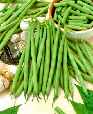 Kacang hijau Prancis "Delfina" - untuk pembekuan dan pengawetan - Phaseolus vulgaris L. - biji