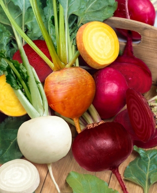 Beetroot - multicolour variety mix - COATED SEEDS - 100 seeds