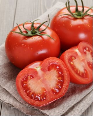 토마토 "Bekas F1"- 온실 재배 용 - Solanum lycopersicum  - 씨앗